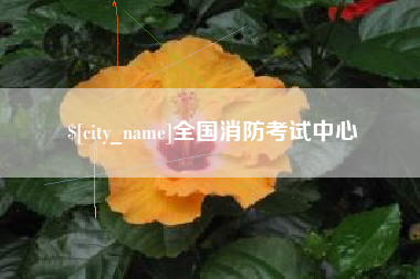 石狮全国消防考试中心