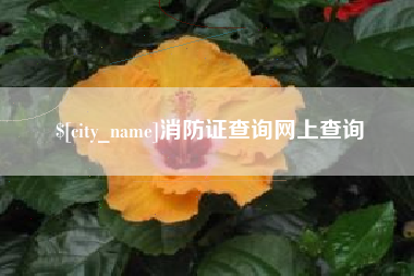 石狮消防证查询网上查询