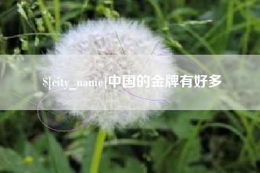 石狮中国的金牌有好多