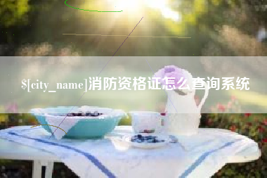 石狮消防资格证怎么查询系统