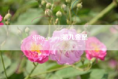 石狮第九金是