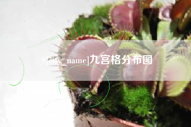 石狮九宫格分布图