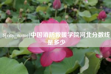 石狮中国消防救援学院河北分数线是多少
