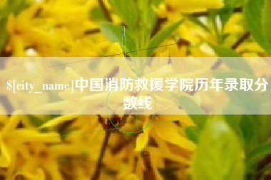 石狮中国消防救援学院历年录取分数线