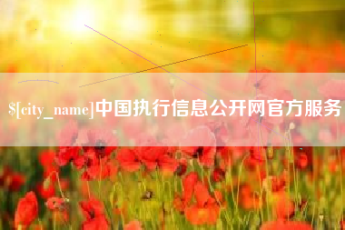 石狮中国执行信息公开网官方服务