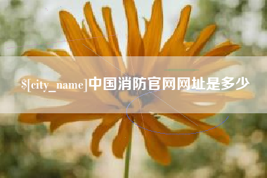 石狮中国消防官网网址是多少