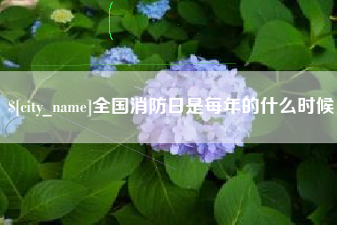 石狮全国消防日是每年的什么时候