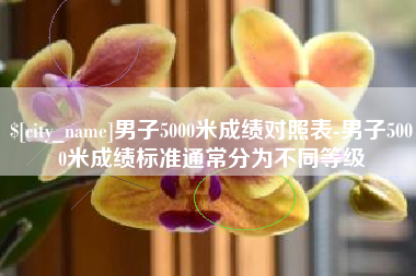 石狮男子5000米成绩对照表-男子5000米成绩标准通常分为不同等级