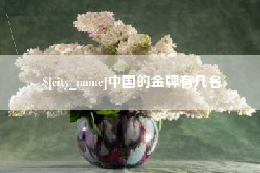 石狮中国的金牌有几名