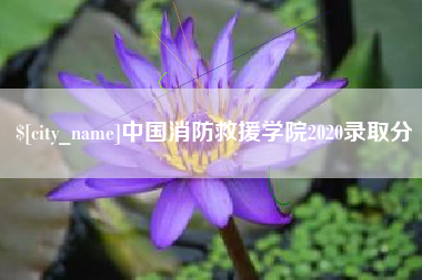 石狮中国消防救援学院2020录取分