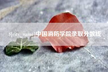 石狮中国消防学院录取分数线