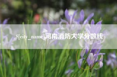 石狮河南消防大学分数线
