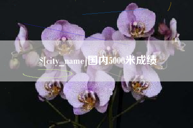 石狮国内5000米成绩