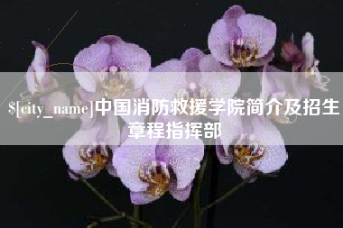 石狮中国消防救援学院简介及招生章程指挥部