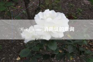 石狮消防证的查询