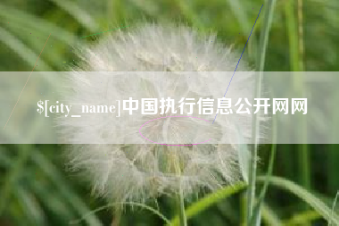 石狮中国执行信息公开网网