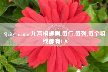 石狮九宫格规则,每行,每列,每个粗线都有1-9