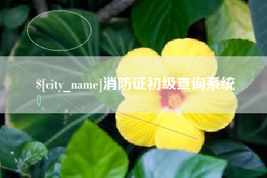石狮消防证初级查询系统