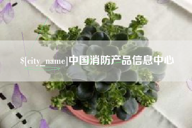石狮中国消防产品信息中心