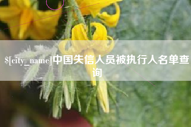 石狮中国失信人员被执行人名单查询