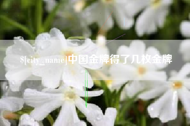石狮中国金牌得了几枚金牌