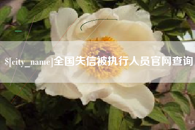 石狮全国失信被执行人员官网查询