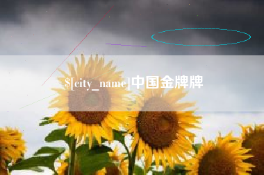 石狮中国金牌牌