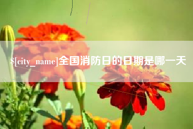 石狮全国消防日的日期是哪一天