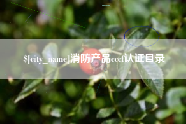 石狮消防产品cccf认证目录
