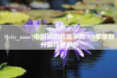 石狮中国消防救援学院2020年录取分数线是多少
