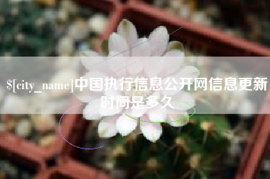 石狮中国执行信息公开网信息更新时间是多久