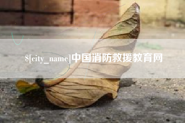 石狮中国消防救援教育网