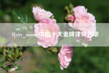 石狮中国十大金牌律师名单