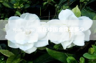 石狮现在中国金牌是多少