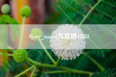 石狮九宫格42633