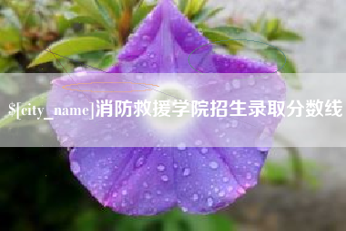 石狮消防救援学院招生录取分数线