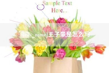石狮王子豪是怎么写