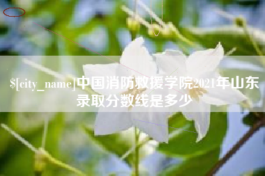 石狮中国消防救援学院2021年山东录取分数线是多少