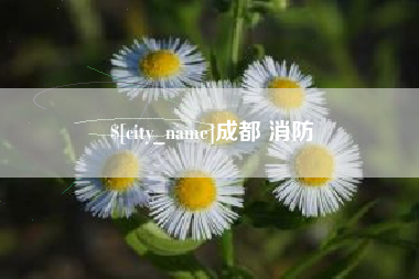 石狮成都 消防