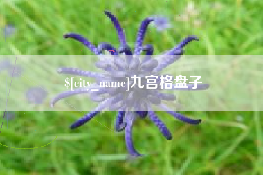 石狮九宫格盘子