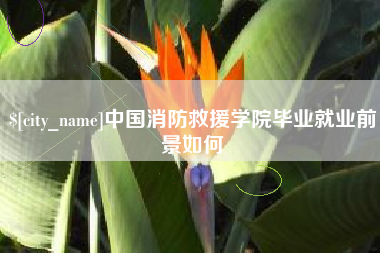 石狮中国消防救援学院毕业就业前景如何