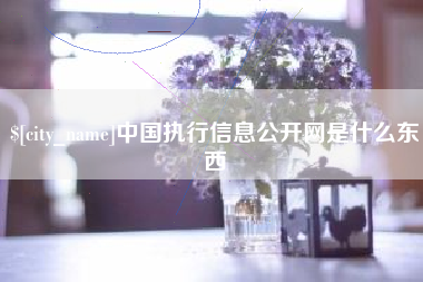 石狮中国执行信息公开网是什么东西