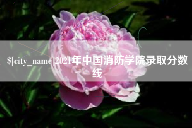 石狮2021年中国消防学院录取分数线