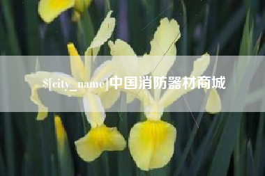 石狮中国消防器材商城
