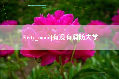 石狮有没有消防大学