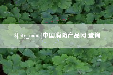 石狮中国消防产品网 查询