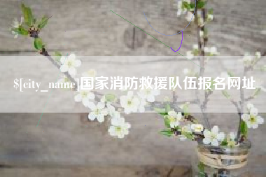 石狮国家消防救援队伍报名网址