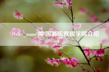 石狮中国消防救援学院介绍