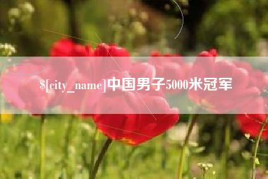 石狮中国男子5000米冠军