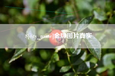石狮金牌图片真实